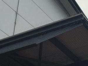 Commercial Bird Control