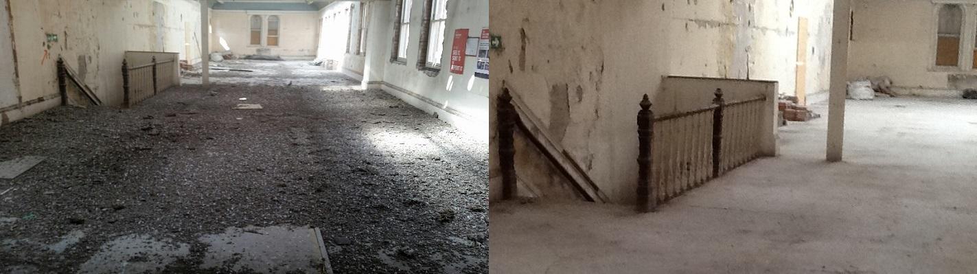 Guano Clearance Before After