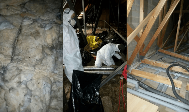 Loft Insulation Removal