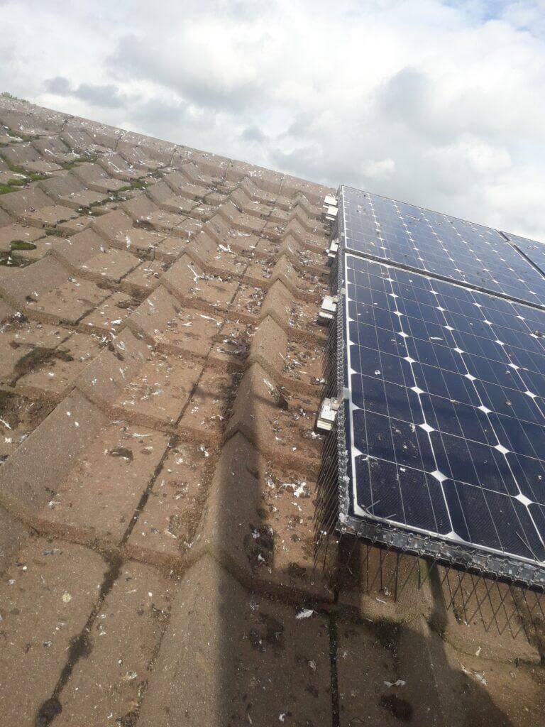 Pigeon Proofing Solar Panel 2