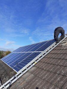 Pigeon Proofing Solar Panel 3